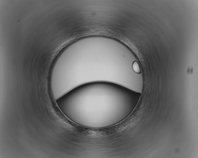 X0000091570442200708200954