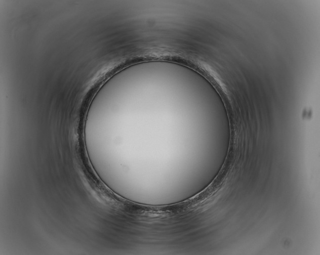 X0000091570443200708200954