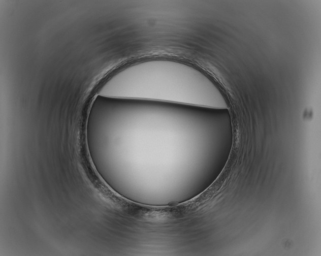 X0000091570444200708200954