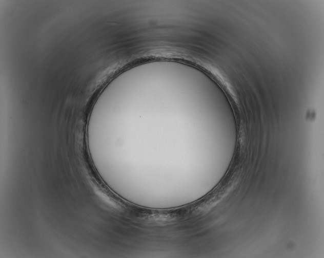 X0000091570445200708200954