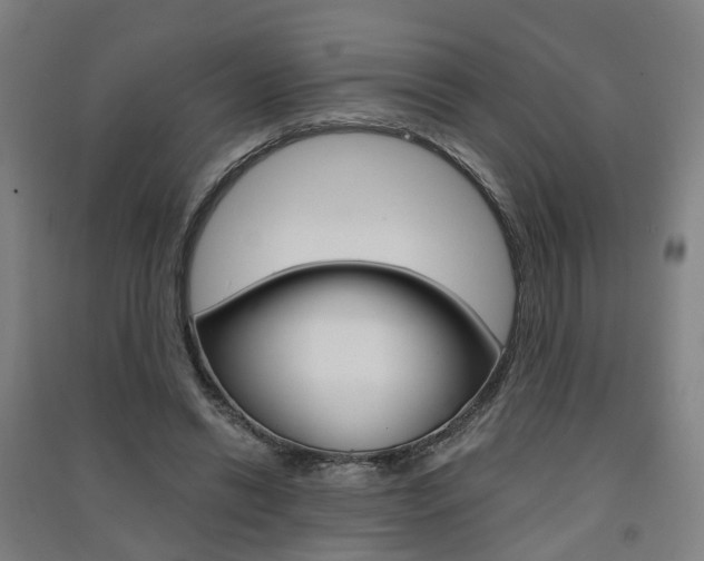 X0000091570446200708200954