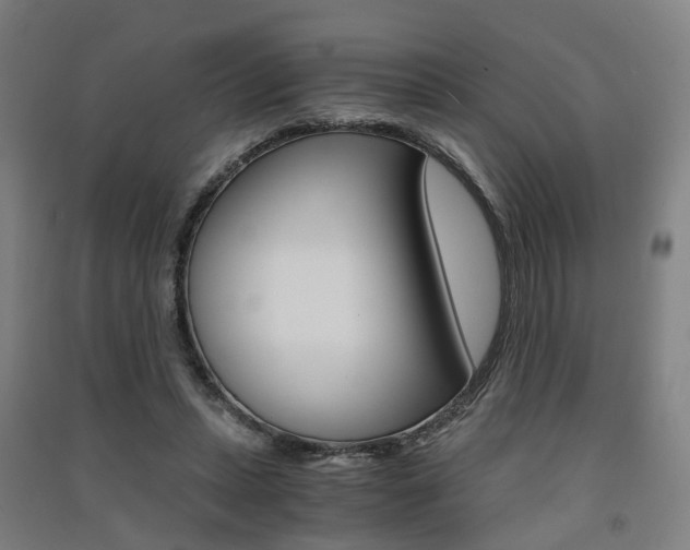 X0000091570447200708200954