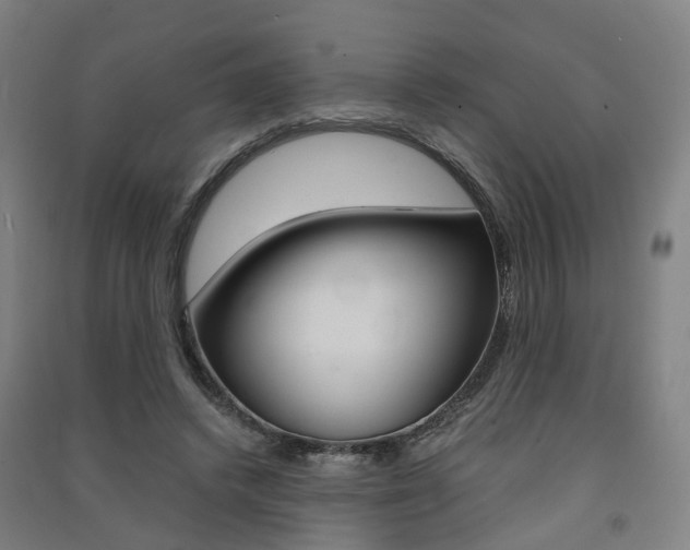 X0000091570448200708200954