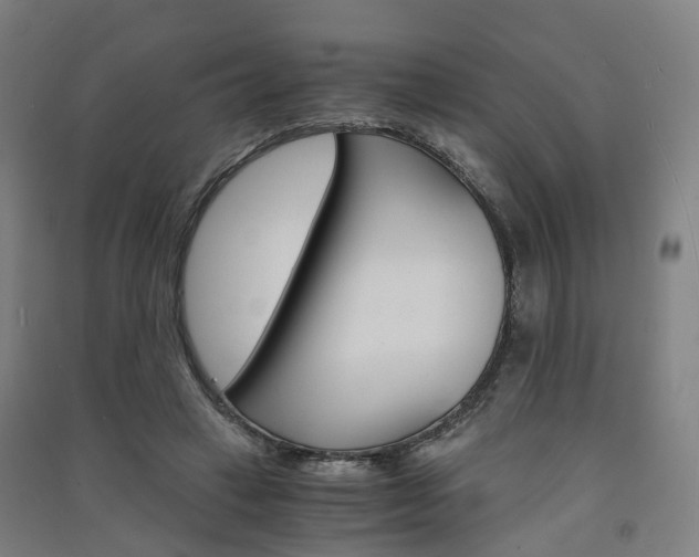 X0000091570449200708200954