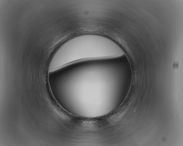 X0000091570450200708200954