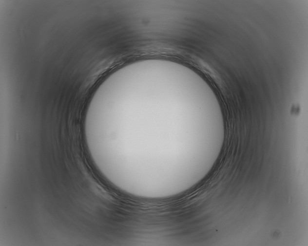 X0000091570452200708200954