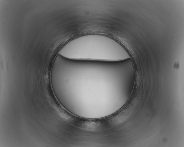 X0000091570453200708200954
