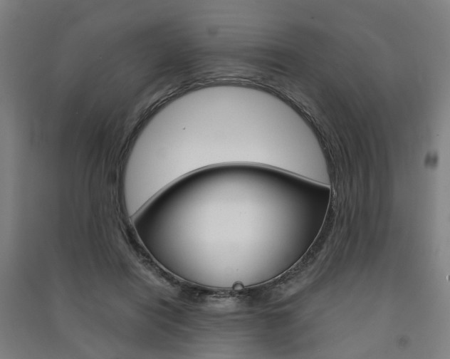 X0000091570454200708200954