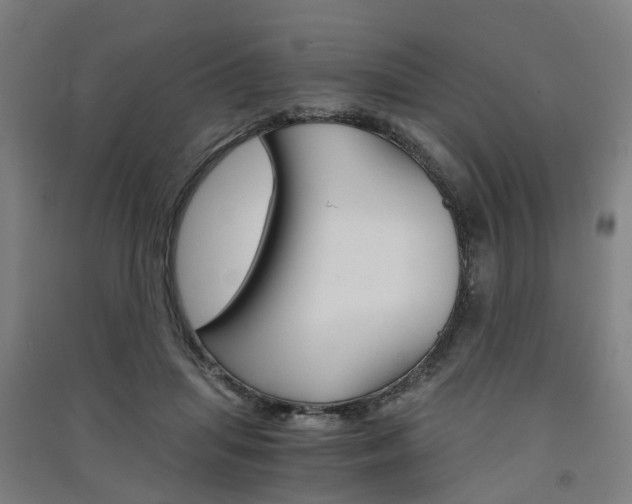 X0000091570455200708200954