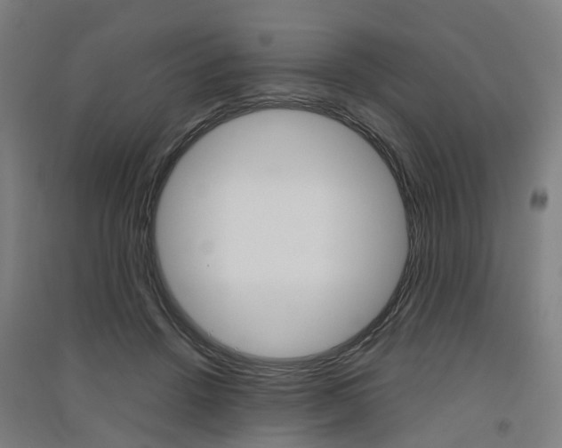 X0000091570456200708200954