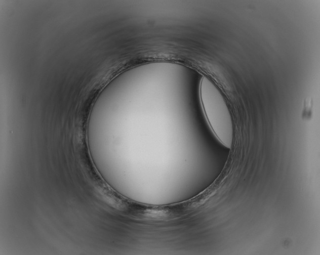 X0000091570457200708200954
