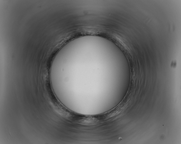 X0000091570459200708200954