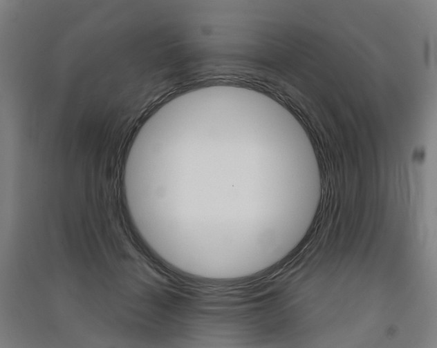 X0000091570460200708200955