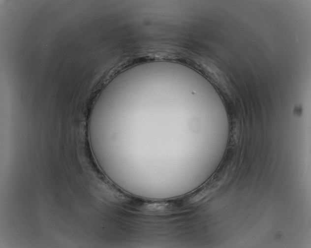 X0000091570461200708200955