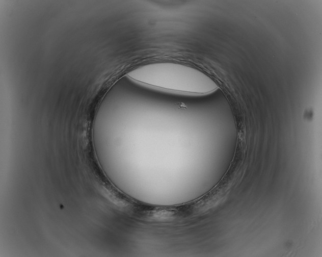 X0000091570462200708200955