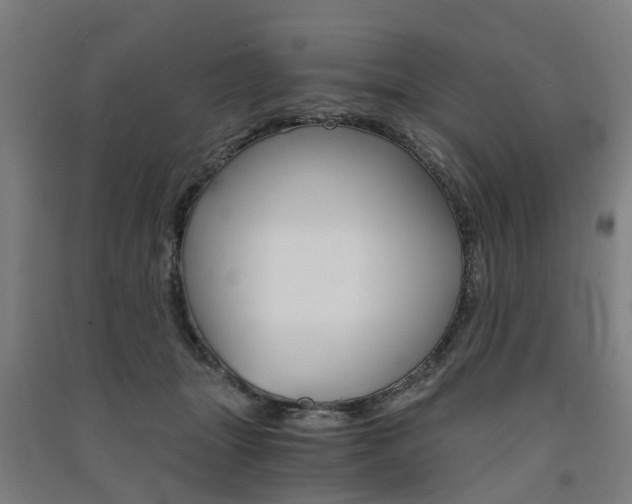 X0000091570463200708200955