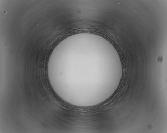X0000091570464200708200955