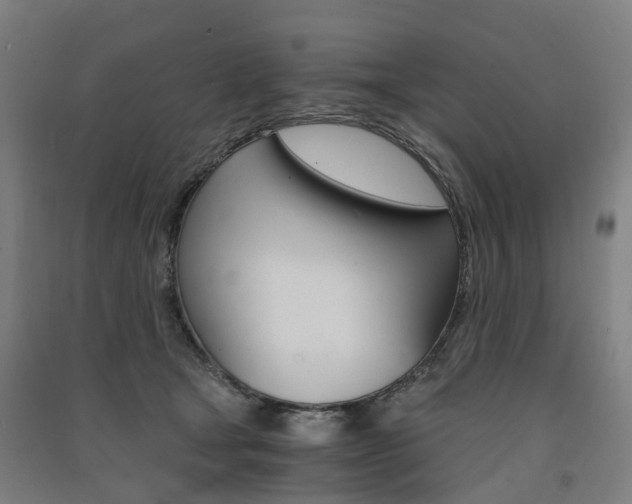 X0000091570465200708200955