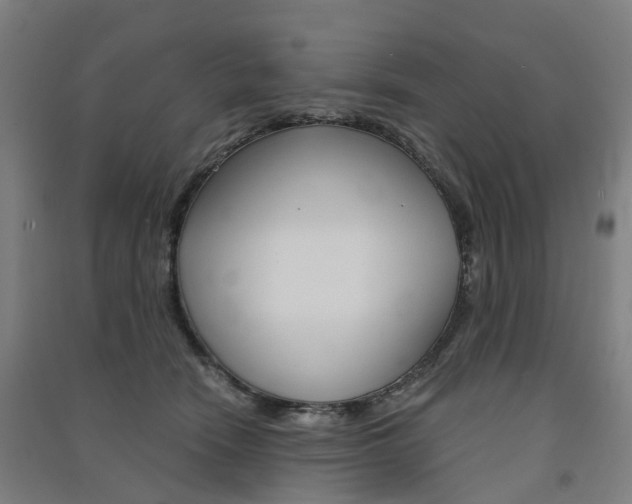 X0000091570466200708200955