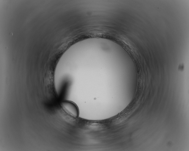 X0000091570467200708200955