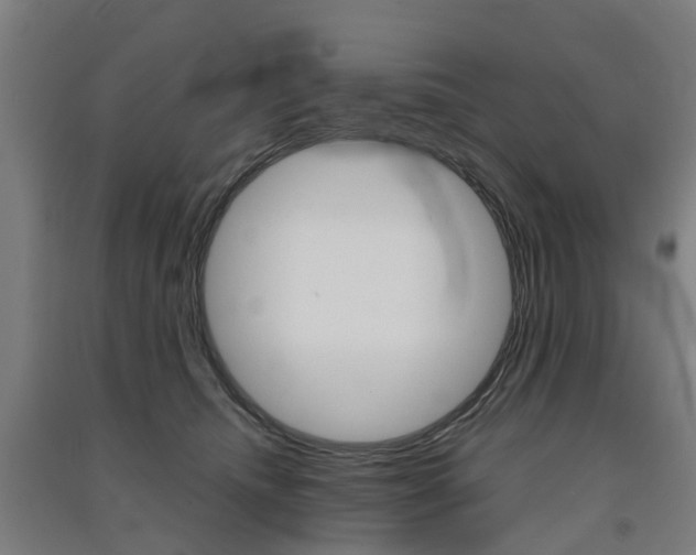X0000091570468200708200955