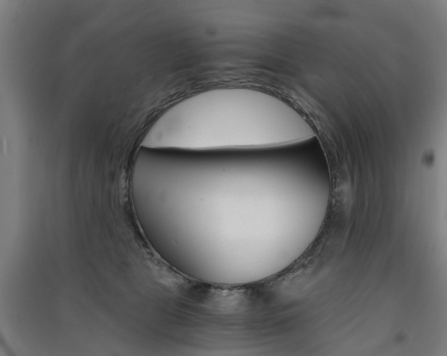X0000091570469200708200955