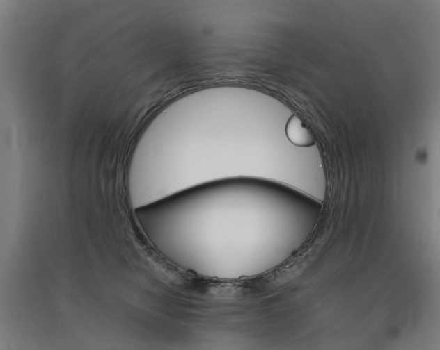 X0000091570470200708200955