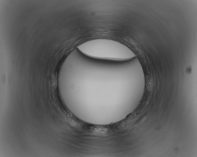 X0000091570471200708200955