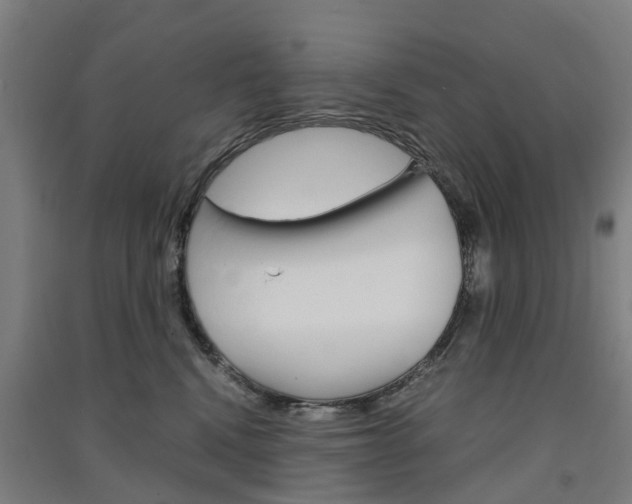X0000091570472200708200955