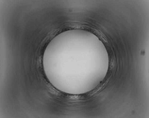 X0000091570473200708200955