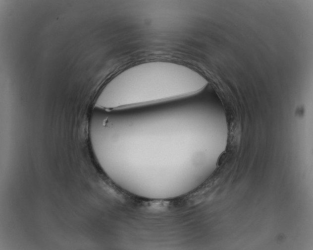 X0000091570474200708200955