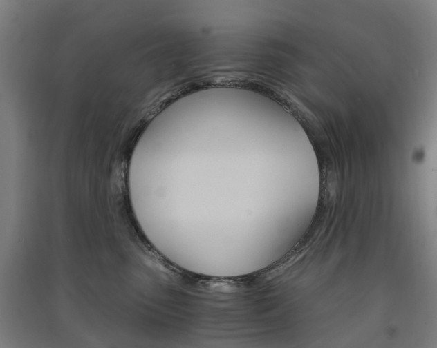 X0000091570475200708200955