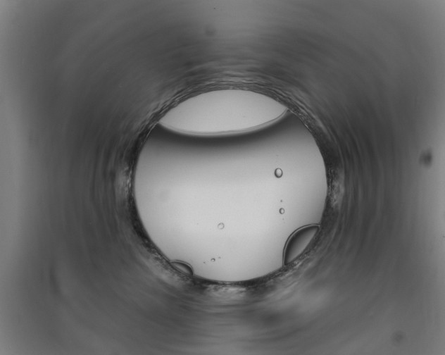 X0000091570476200708200955