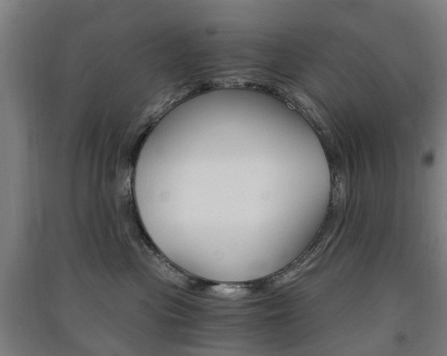 X0000091570477200708200955