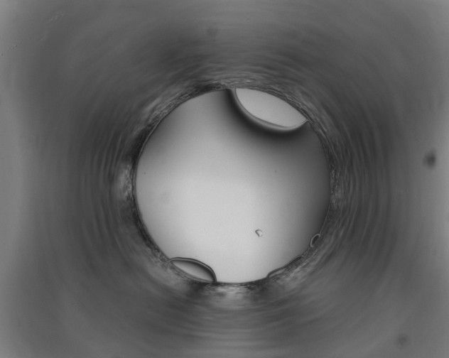 X0000091570478200708200955