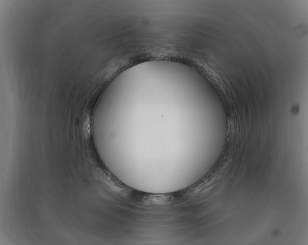 X0000091570479200708200955