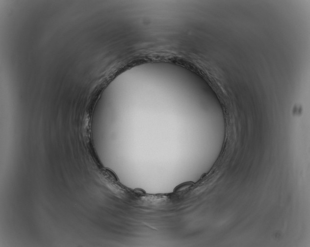 X0000091570480200708200955