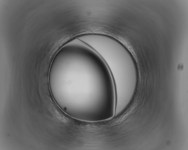X0000091570481200708200954