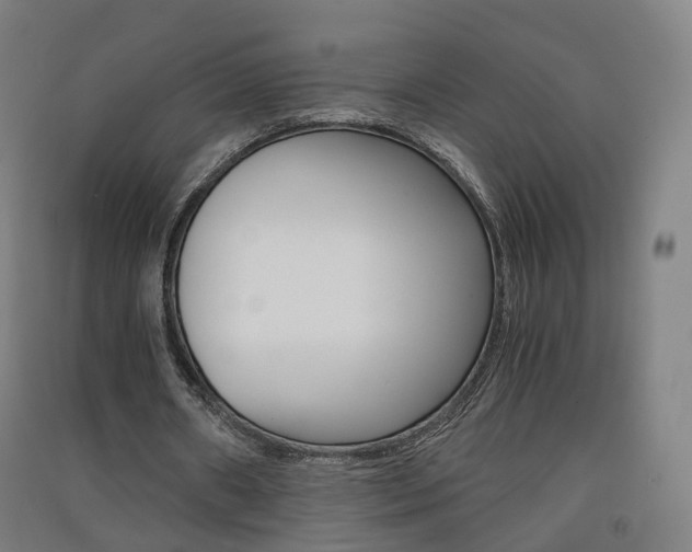 X0000091570482200708200954