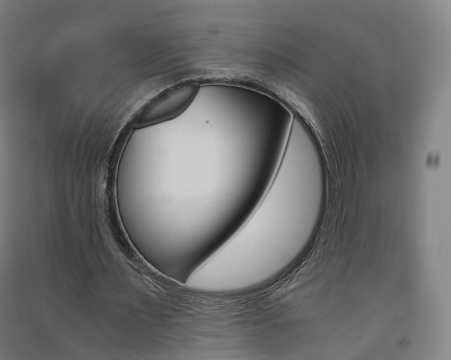 X0000091570483200708200954