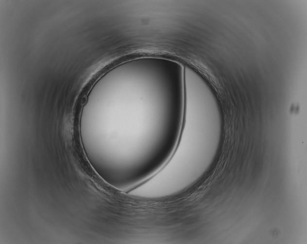 X0000091570484200708200954