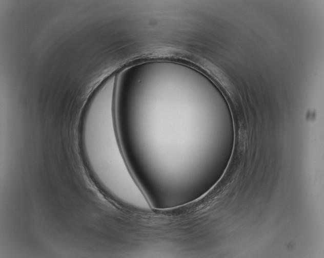 X0000091570485200708200954