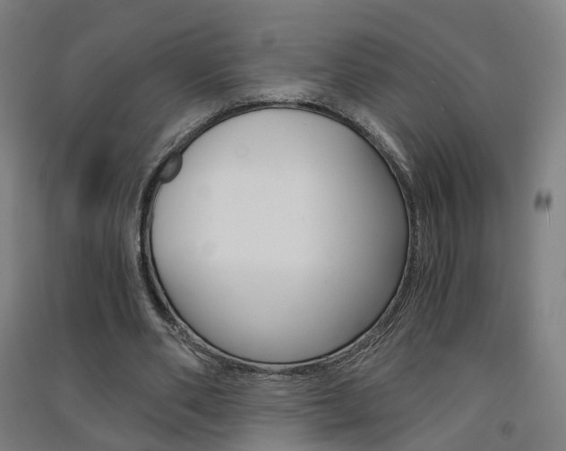 X0000091570486200708200954
