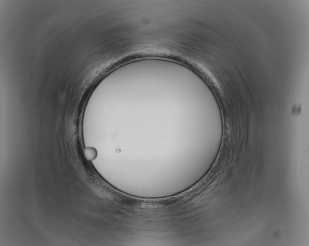 X0000091570487200708200954