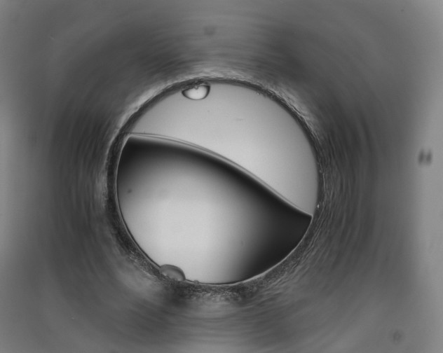 X0000091570488200708200954