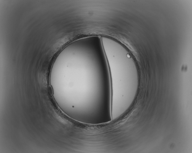 X0000091570489200708200954