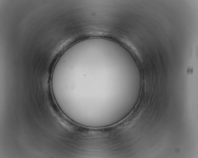 X0000091570490200708200954