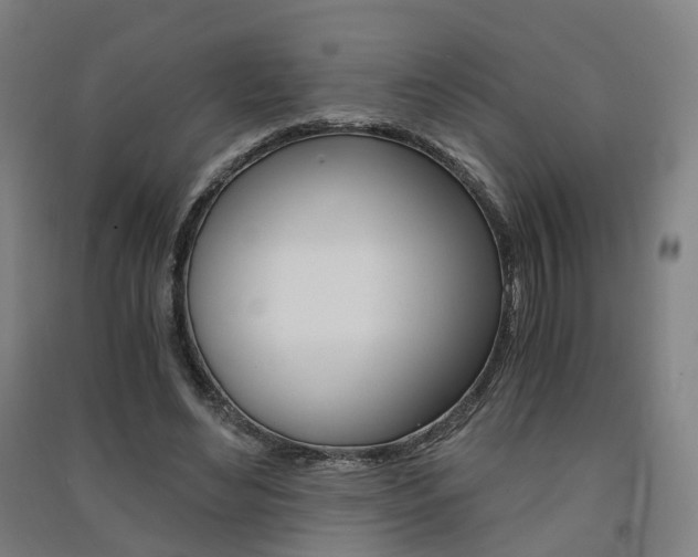 X0000091570492200708200954