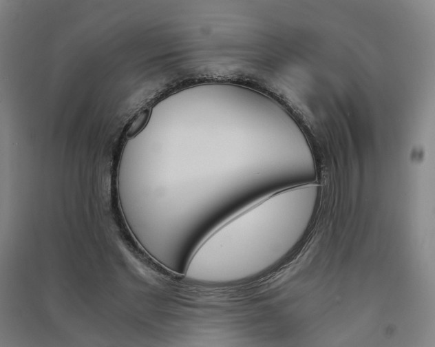 X0000091570493200708200954