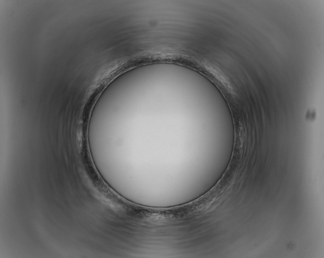 X0000091570494200708200954